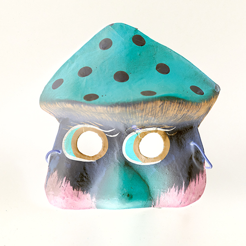 Amanita Collection thumbnail thumbnail